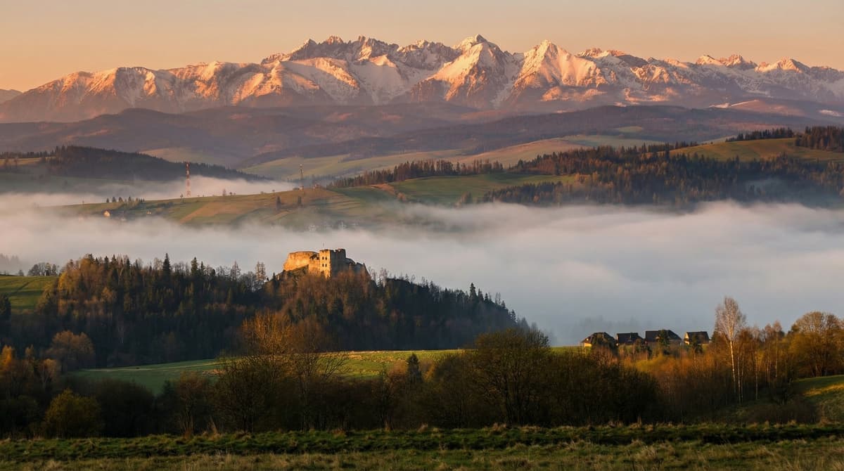 Umina Czorsztyn: Rehabilitacja Pleców, Ból Kręgosłupa, Mobilność